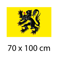 70 x 100 cm